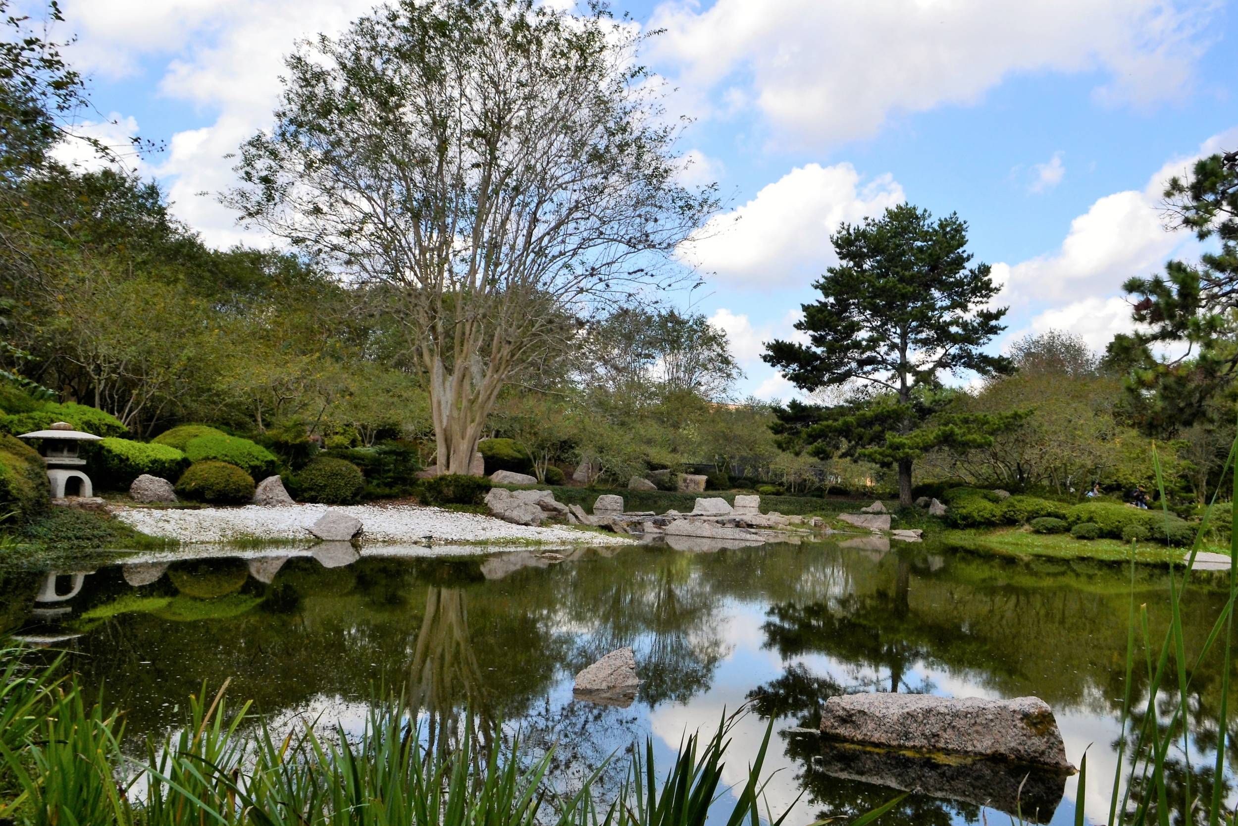 botanical garden