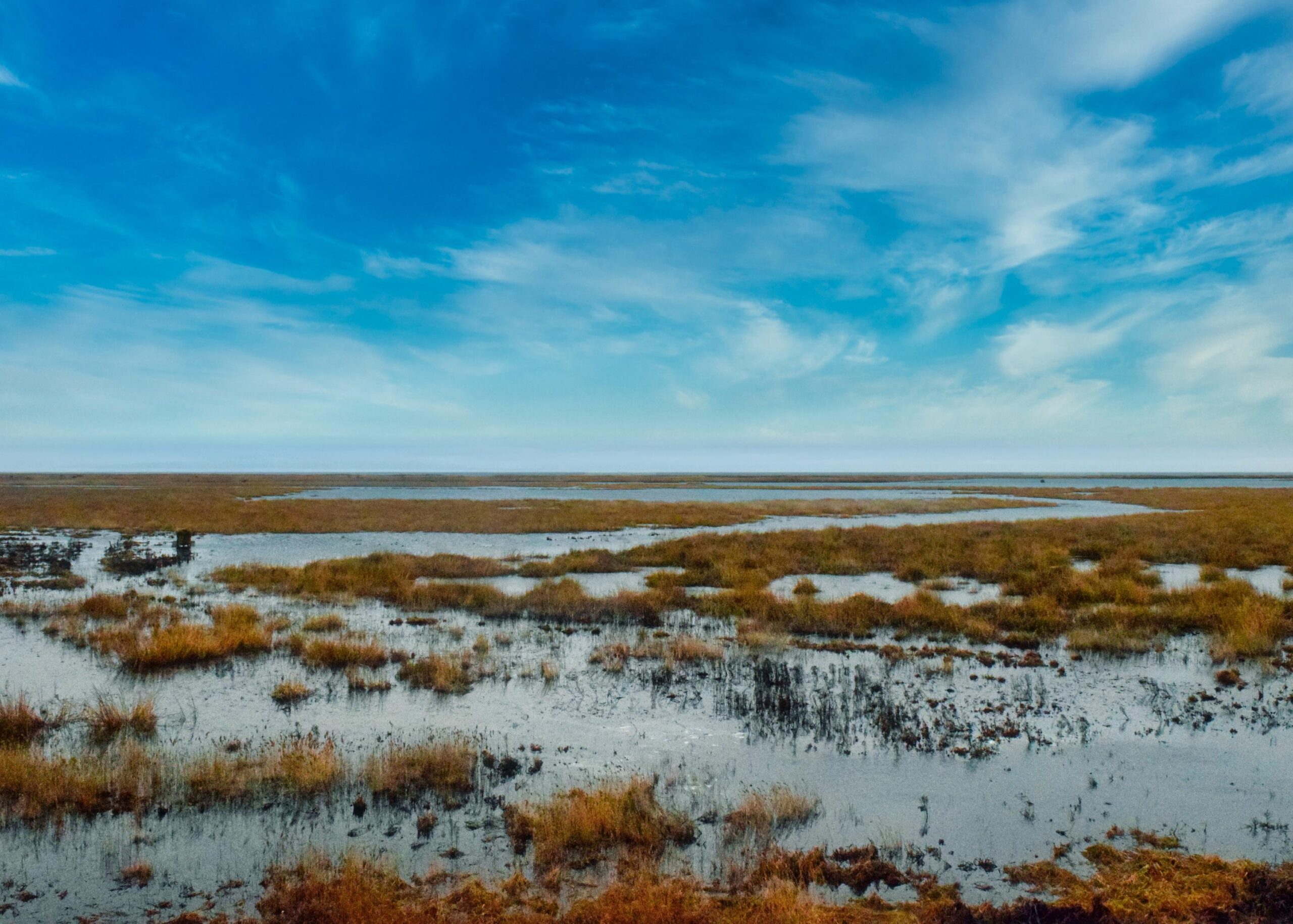 wetlands