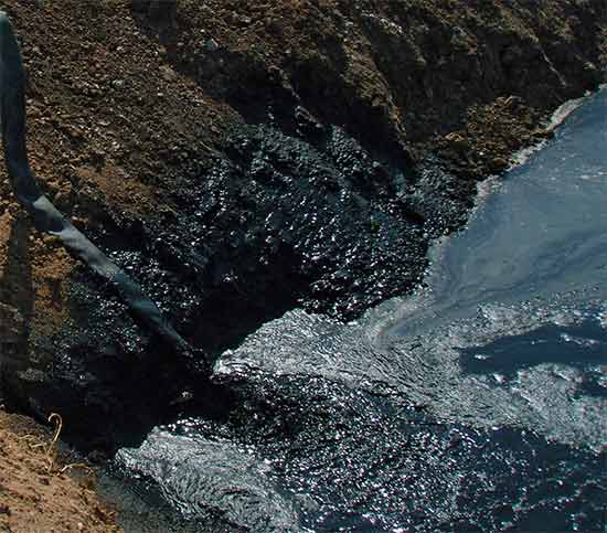 Sludge Extracted at Dinmore