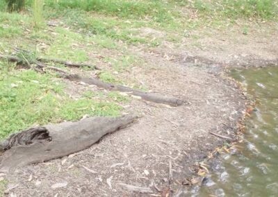 Submerged objects at Rosser Park Pond