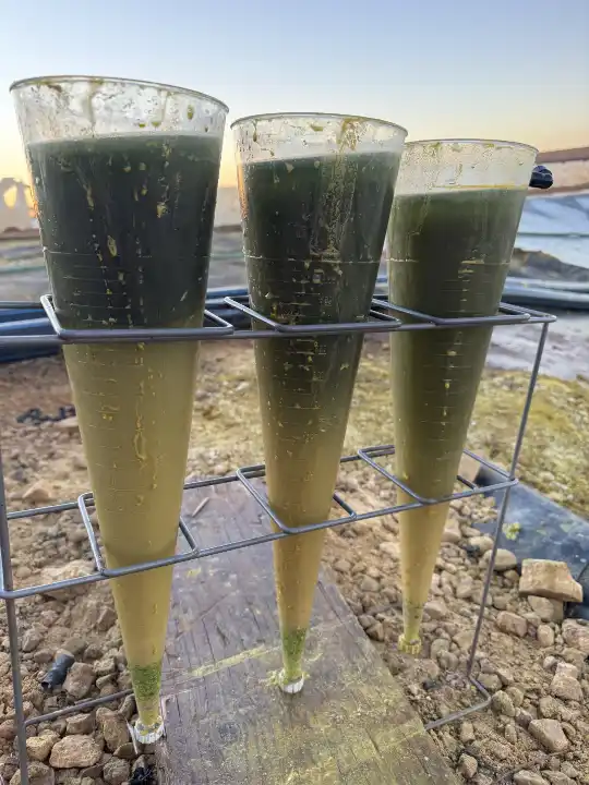 Imhoff-Cones-Sediment-Settling